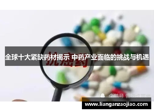 全球十大紧缺药材揭示 中药产业面临的挑战与机遇