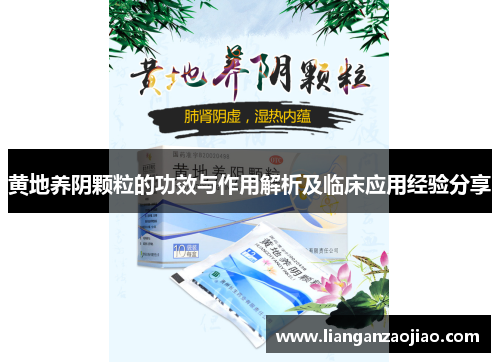 黄地养阴颗粒的功效与作用解析及临床应用经验分享